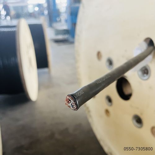 ÌØÖÖµçÀÂ...29.jpg ÌØÖÖµçÀÂ...29.jpg