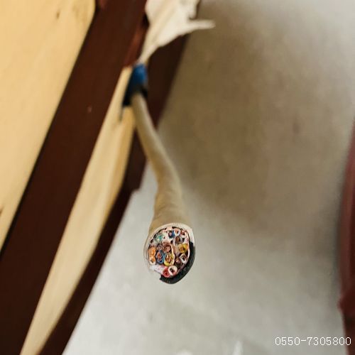 ÌØÖÖµçÀ³§¼Ò113.jpg ÌØÖÖµçÀ³§¼Ò113.jpg