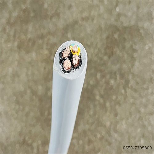 IMG_7945.jpg IMG_7945.jpg