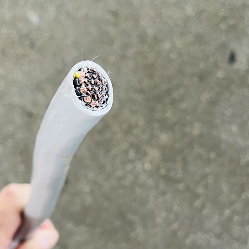 IMG_1631.jpg IMG_1631.jpg