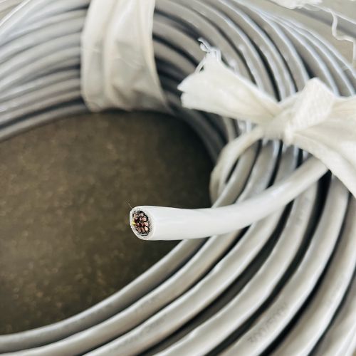 IMG_1643.jpg IMG_1643.jpg