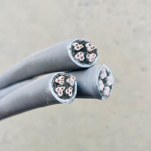 IMG_9656.jpg IMG_9656.jpg