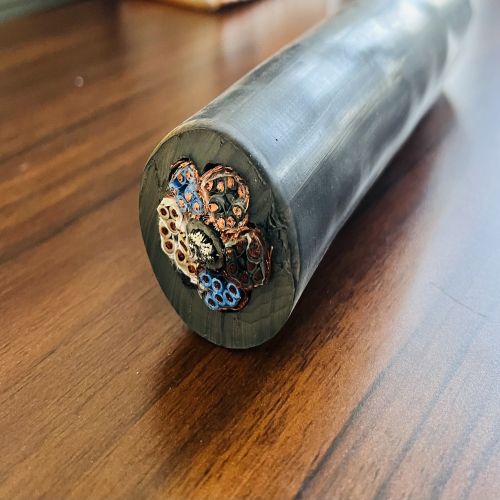 IMG_9511.jpg IMG_9511.jpg