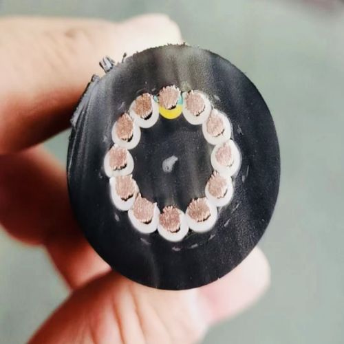 IMG_2469.jpg IMG_2469.jpg