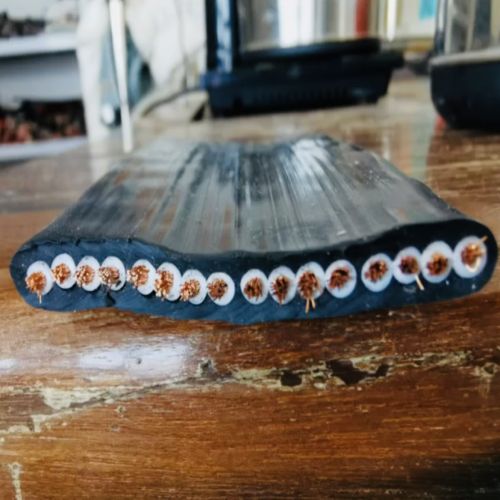 IMG_8432.jpg IMG_8432.jpg