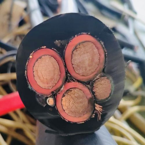 IMG_6441.jpg IMG_6441.jpg