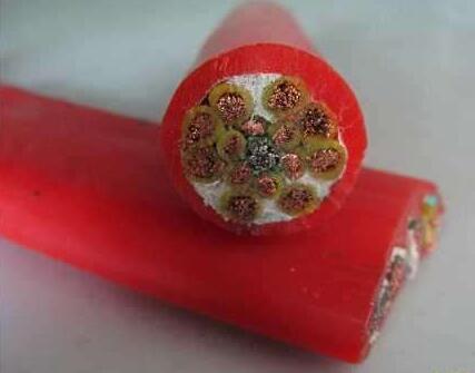 龙八- long8(国际)唯一官方网站