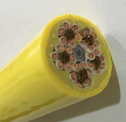 龙八- long8(国际)唯一官方网站