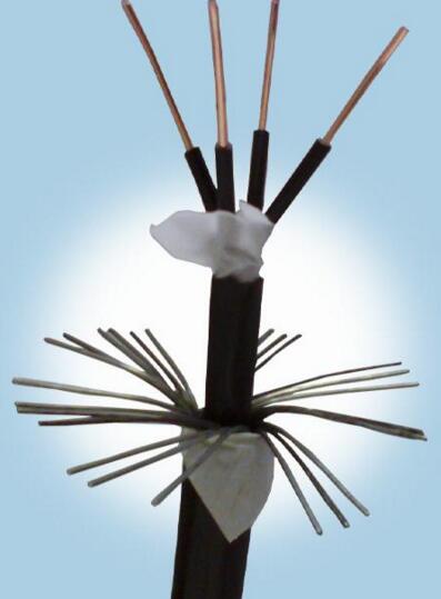 龙八- long8(国际)唯一官方网站