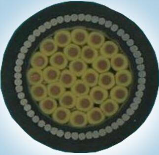 龙八- long8(国际)唯一官方网站