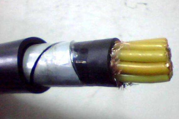 龙八- long8(国际)唯一官方网站