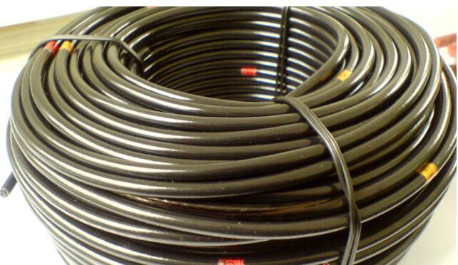 龙八- long8(国际)唯一官方网站