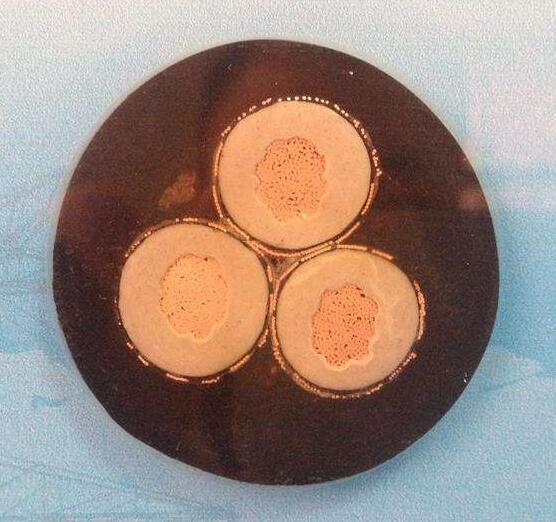 龙八- long8(国际)唯一官方网站