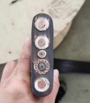 龙八- long8(国际)唯一官方网站