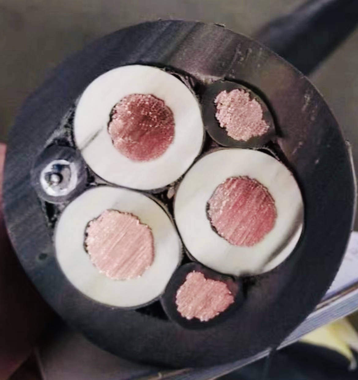 龙八- long8(国际)唯一官方网站