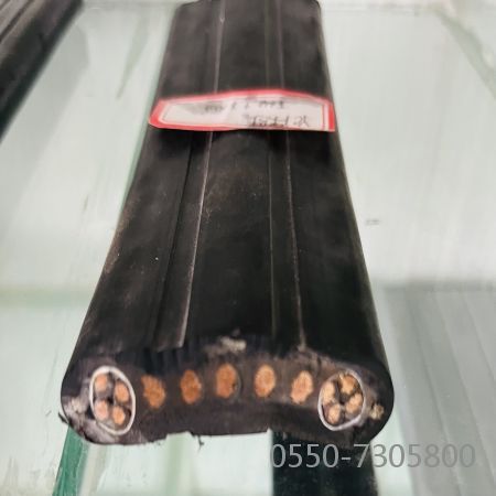 龙八- long8(国际)唯一官方网站