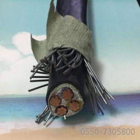 龙八- long8(国际)唯一官方网站