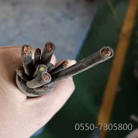 龙八- long8(国际)唯一官方网站