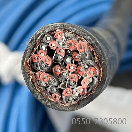 龙八- long8(国际)唯一官方网站