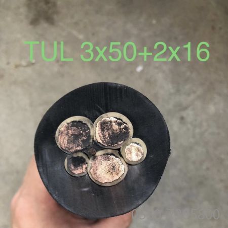 龙八- long8(国际)唯一官方网站