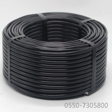 龙八- long8(国际)唯一官方网站