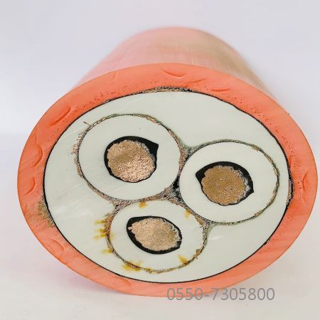 龙八- long8(国际)唯一官方网站