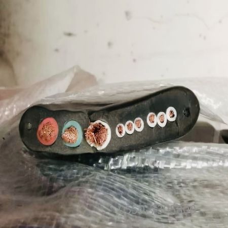 龙八- long8(国际)唯一官方网站