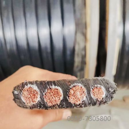 龙八- long8(国际)唯一官方网站