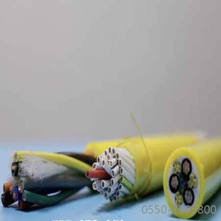 龙八- long8(国际)唯一官方网站