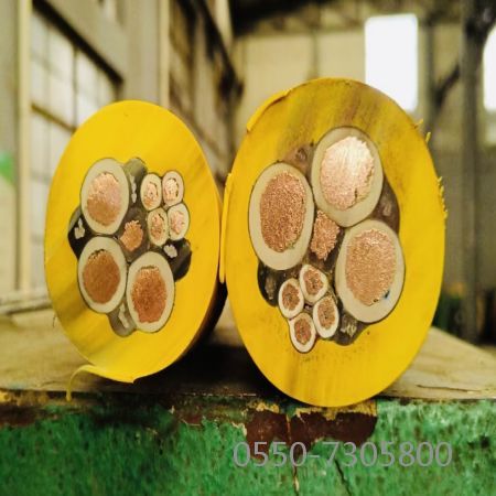 龙八- long8(国际)唯一官方网站