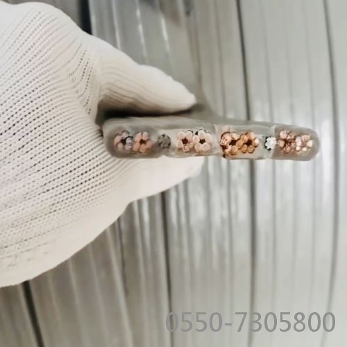 龙八- long8(国际)唯一官方网站