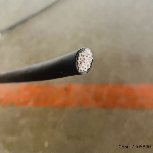 龙八- long8(国际)唯一官方网站