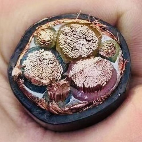 龙八- long8(国际)唯一官方网站