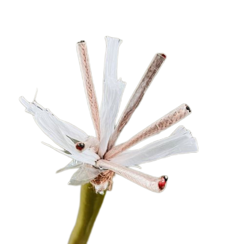 龙八- long8(国际)唯一官方网站