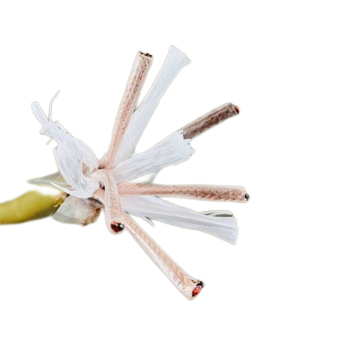 龙八- long8(国际)唯一官方网站