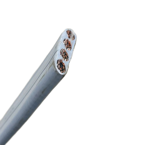 龙八- long8(国际)唯一官方网站