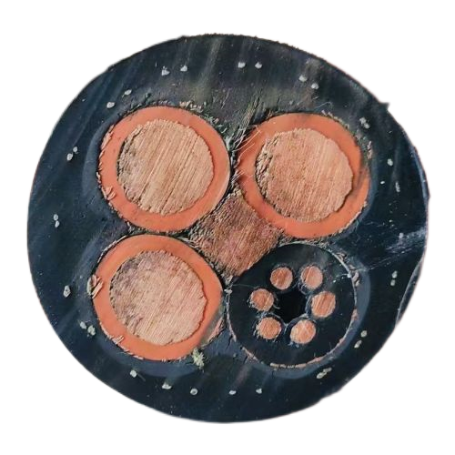 龙八- long8(国际)唯一官方网站