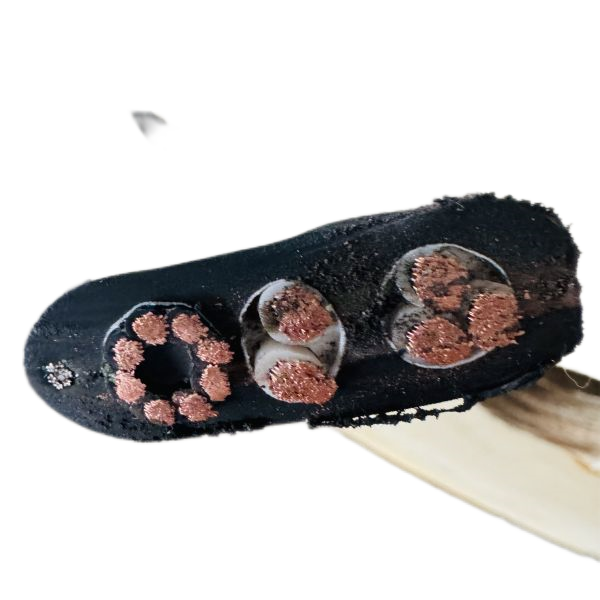 龙八- long8(国际)唯一官方网站