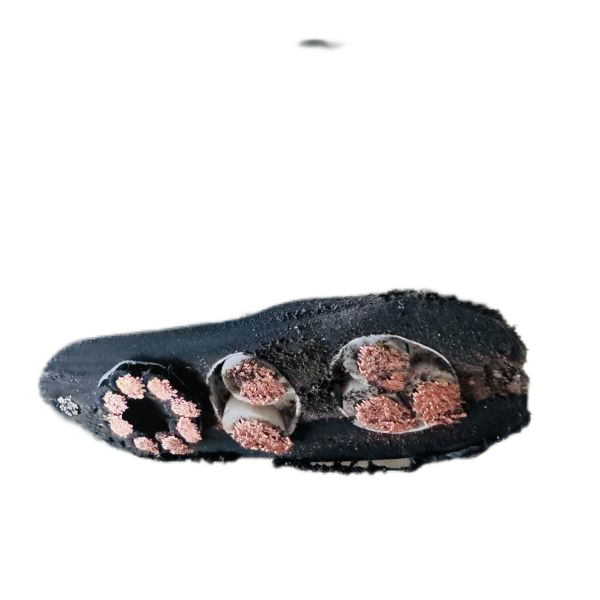 龙八- long8(国际)唯一官方网站