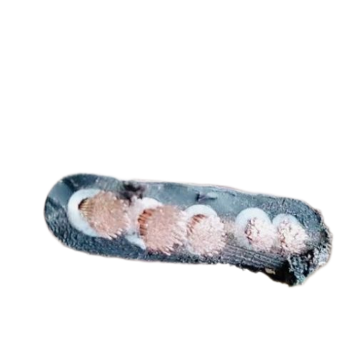 龙八- long8(国际)唯一官方网站