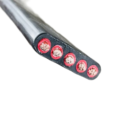 龙八- long8(国际)唯一官方网站