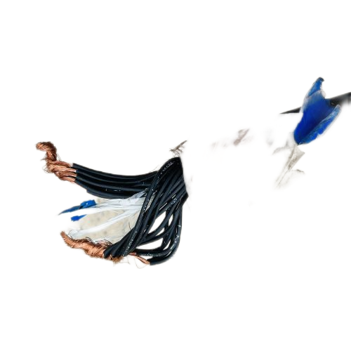 龙八- long8(国际)唯一官方网站