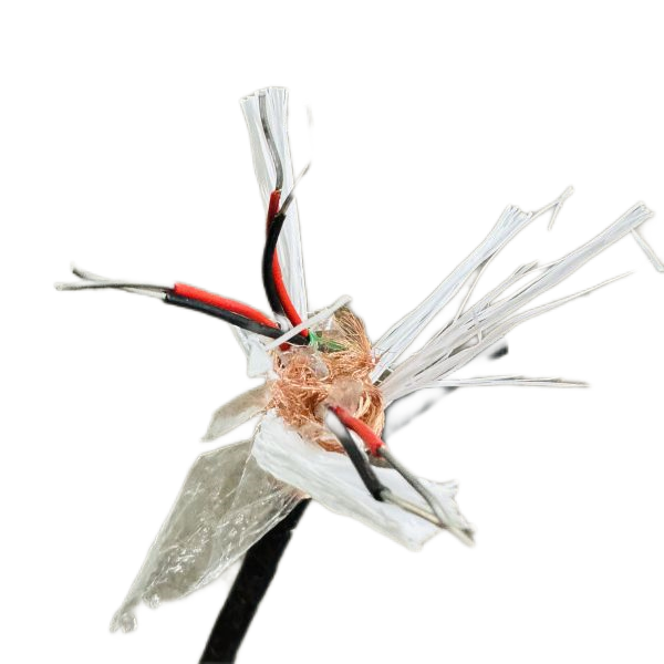 龙八- long8(国际)唯一官方网站