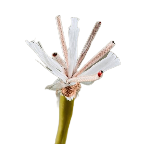 龙八- long8(国际)唯一官方网站