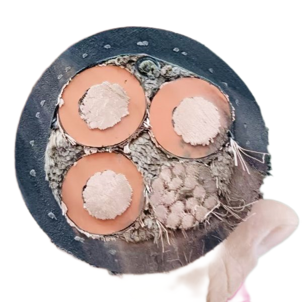 龙八- long8(国际)唯一官方网站