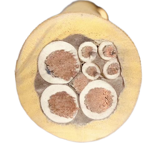 龙八- long8(国际)唯一官方网站