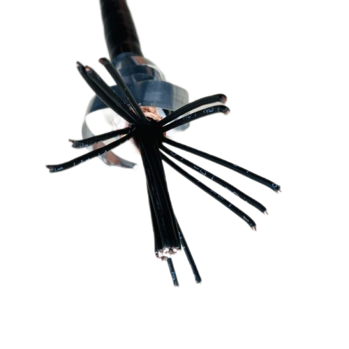 龙八- long8(国际)唯一官方网站