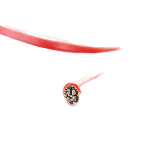 龙八- long8(国际)唯一官方网站