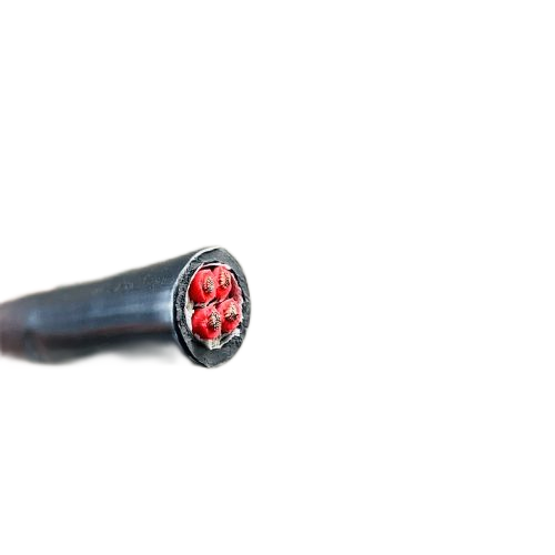 龙八- long8(国际)唯一官方网站