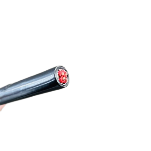 龙八- long8(国际)唯一官方网站